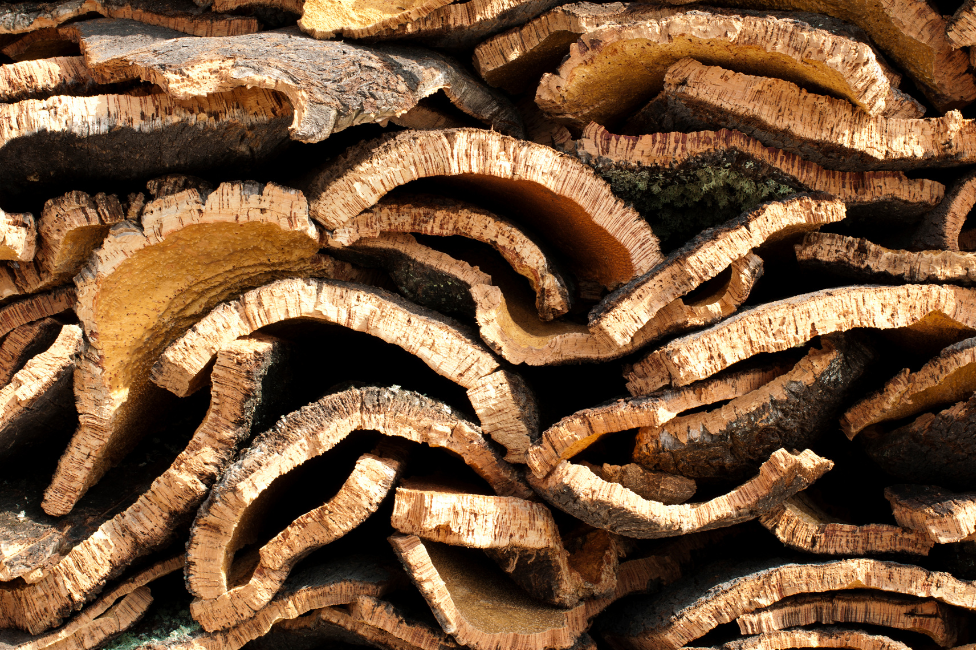 About Us – Corkstyle